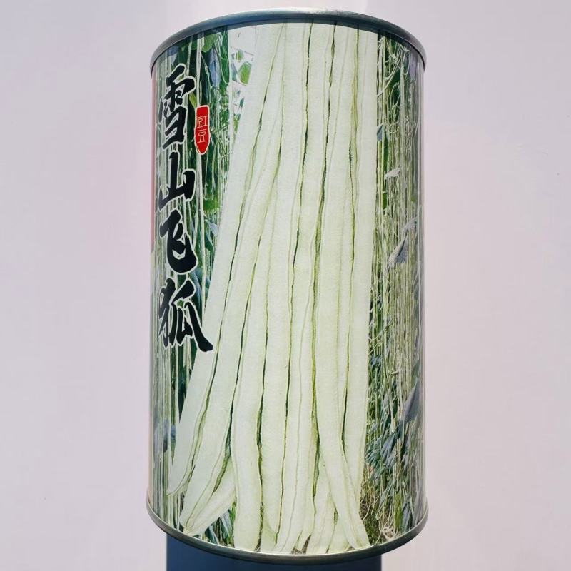 雪山飞狐豇豆种子白条豆角种子三尺白玉厚肉型长豆角种子