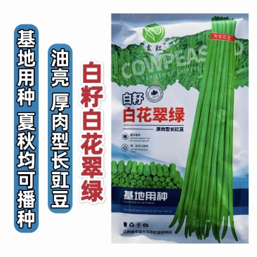 白籽白花翠绿豆角种子厚肉型长豇豆种子耐热春夏秋长豆角种子