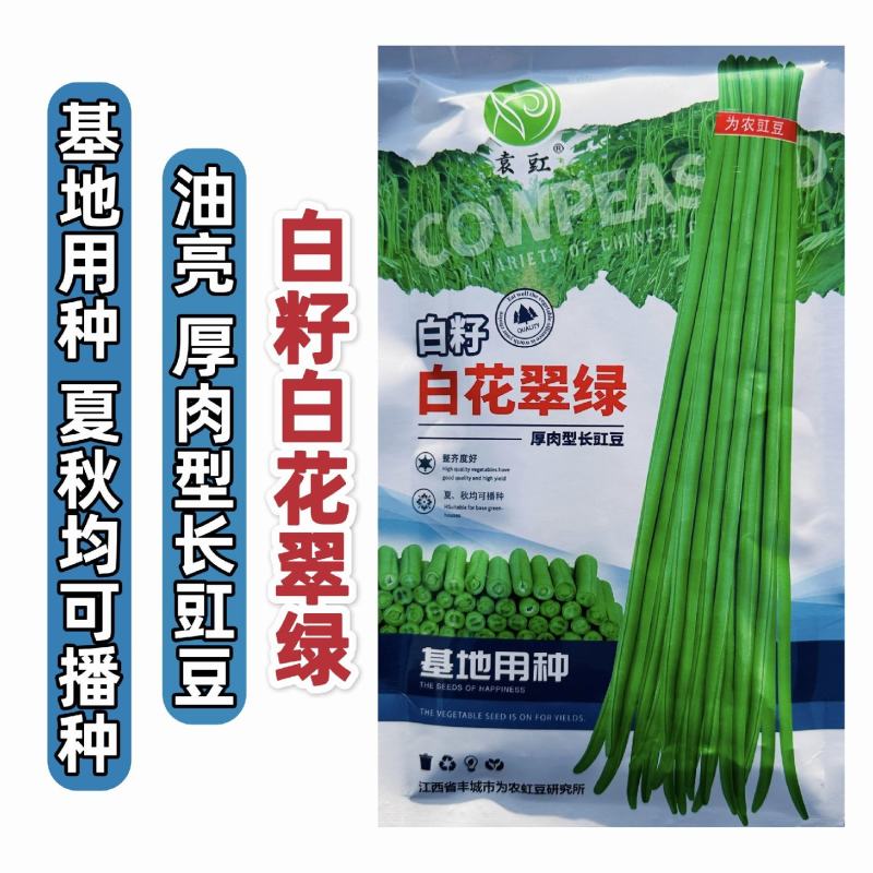 白籽白花翠绿豆角种子厚肉型长豇豆种子耐热春夏秋长豆角种子