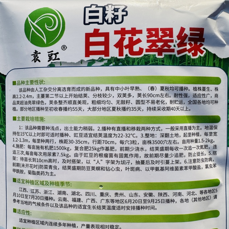 白籽白花翠绿豆角种子厚肉型长豇豆种子耐热春夏秋长豆角种子