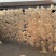 干制猪小肚盐渍猪小肚量大从优可订制