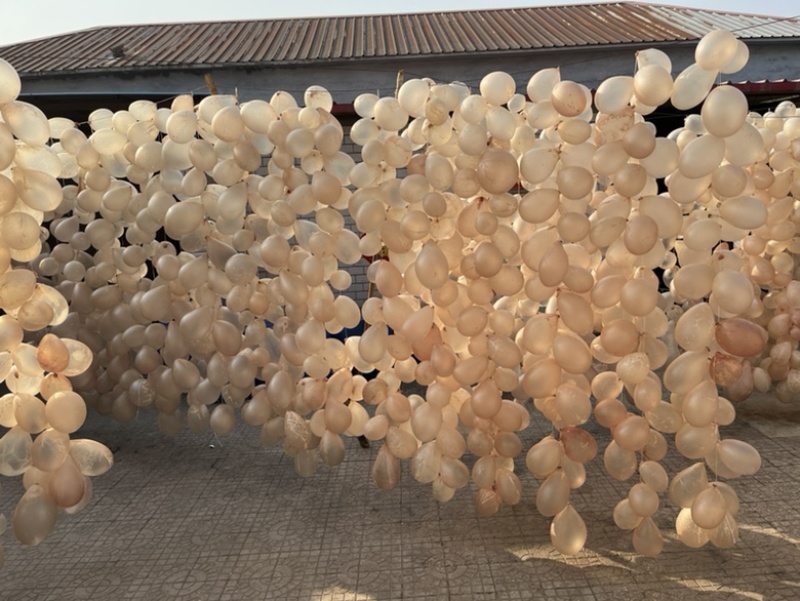 干制猪小肚盐渍猪小肚量大从优可订制