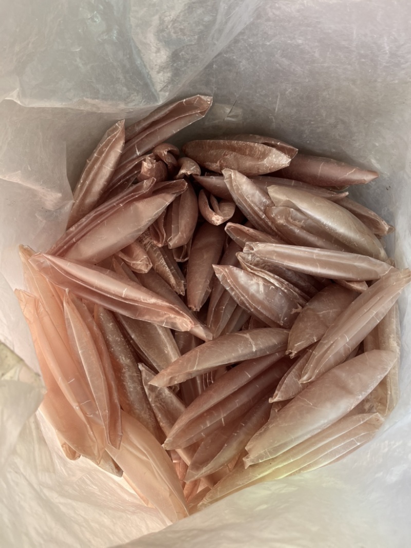 干制猪小肚盐渍猪小肚量大从优可订制