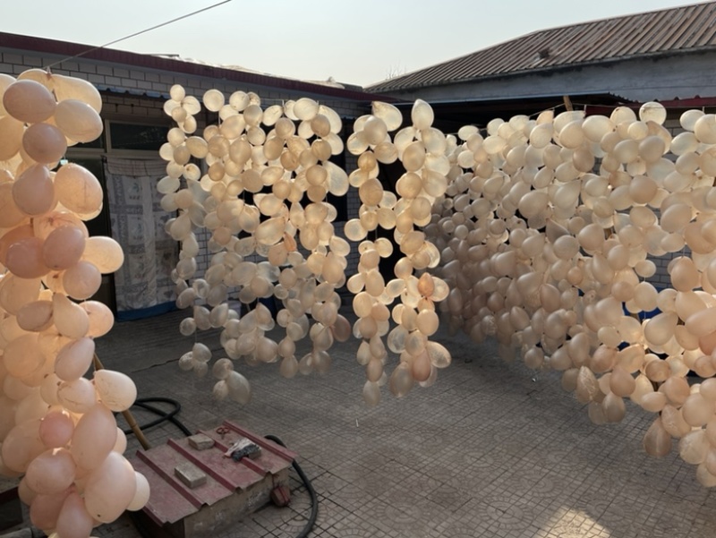 干制猪小肚盐渍猪小肚量大从优可订制