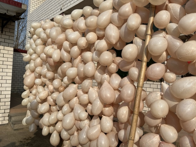 干制猪小肚盐渍猪小肚量大从优可订制