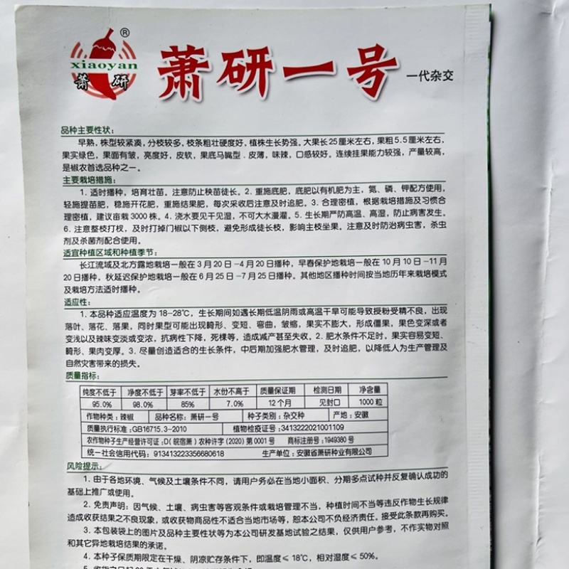 黑龙9号黑皱皮椒种子品种杂交一代皱皮辣味浓香品种种子