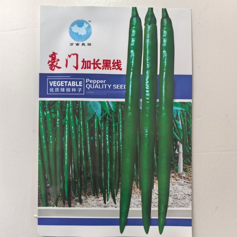 洛椒98A大果薄皮椒品种种子杂交一代青皮品种种子