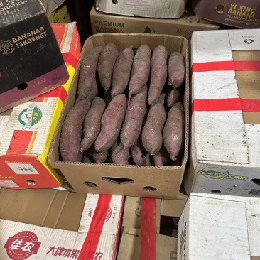 岳龙正宗红瑶蜜薯