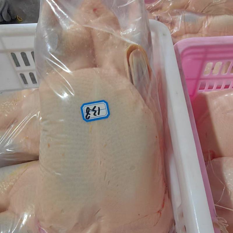 鸭子