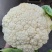 花菜大量有货，万亩花菜基地。严把质量关
