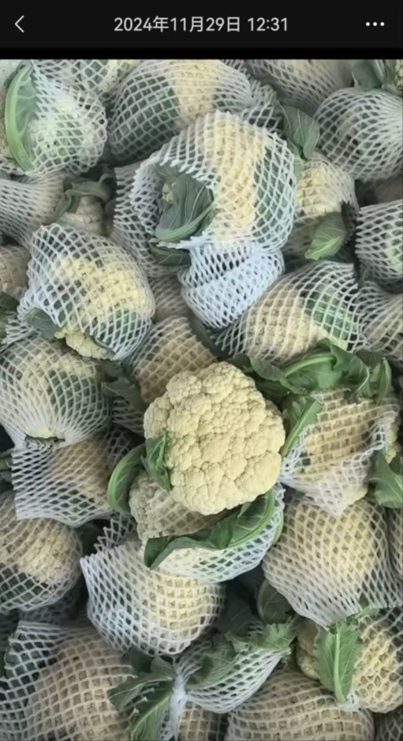 花菜大量有货，万亩花菜基地。严把质量关