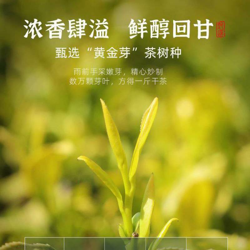 黄金茶批发零售