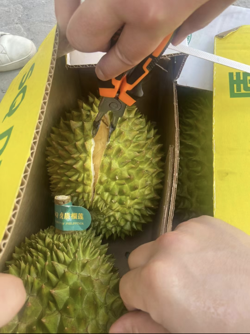 A果B果都有