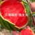 2K礼品西瓜冰糖籽嫁接苗早熟糖度高口感脆甜苗厂直发
