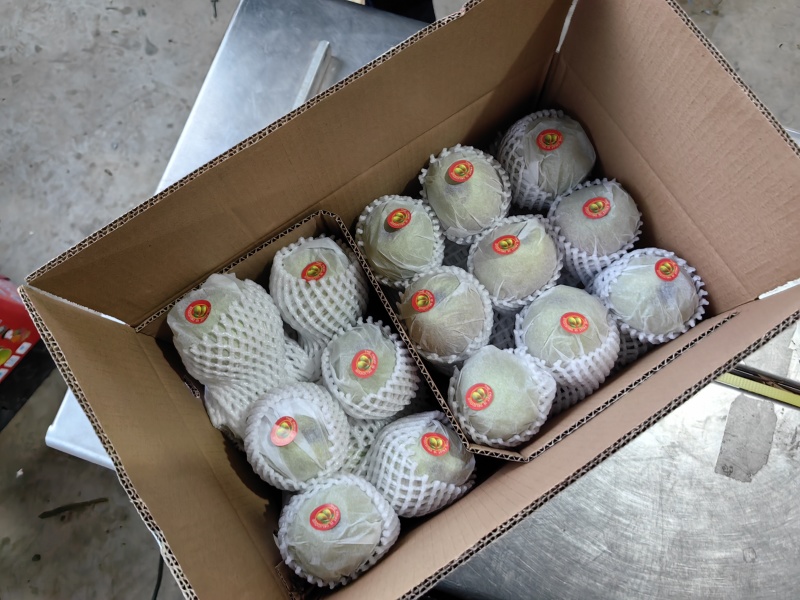 库尔勒香梨，红香酥，新梨七号，礼盒香梨大量有货