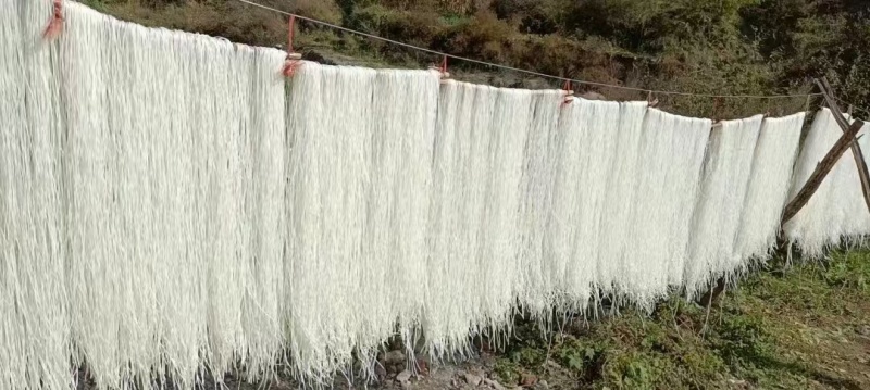 西和正宗纯土豆粉条十斤装包邮