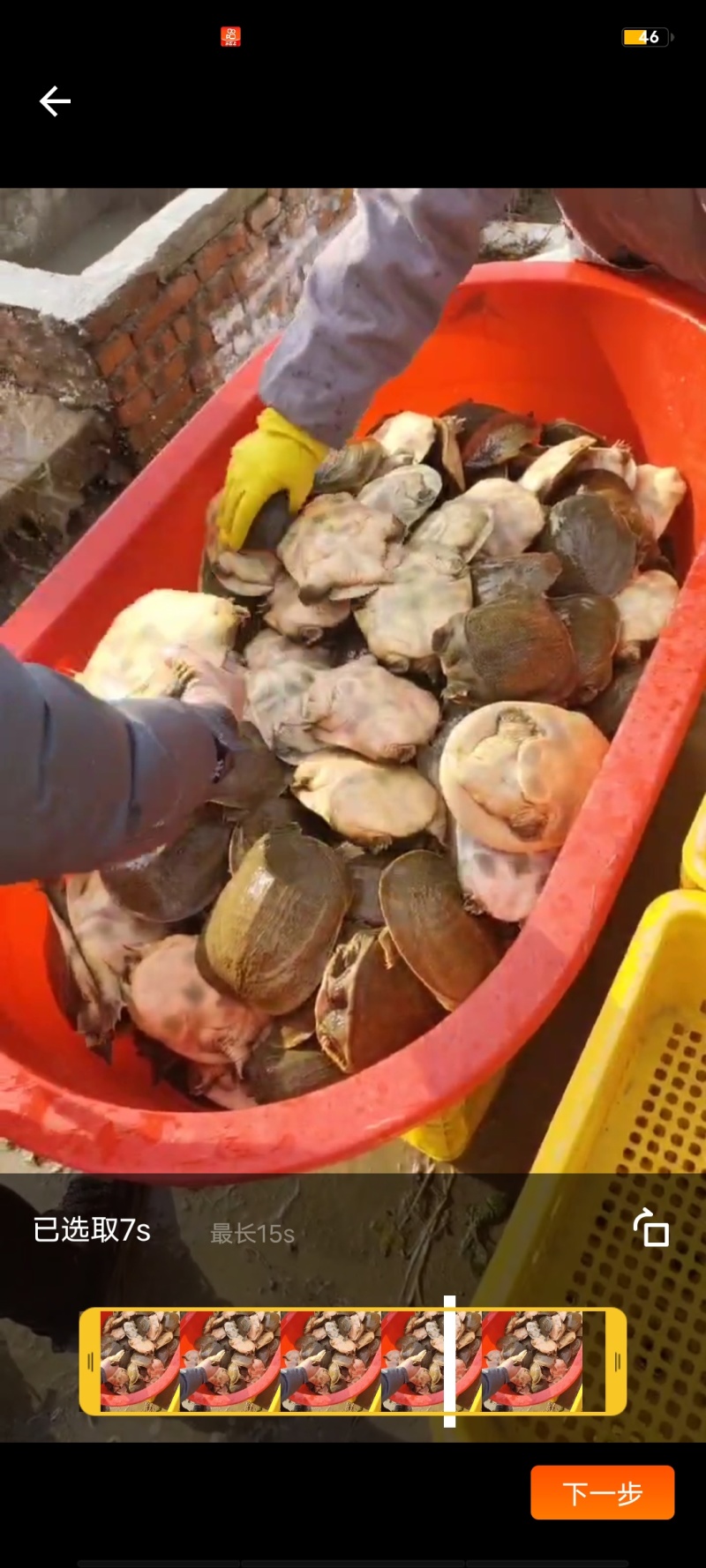 外塘黄甲