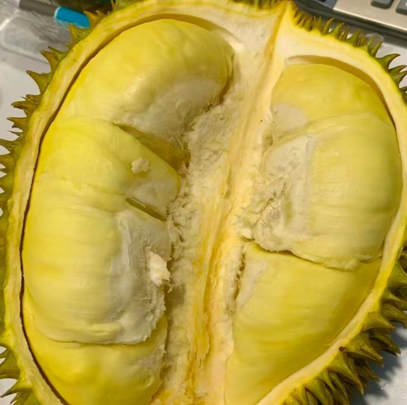 A果B果都有