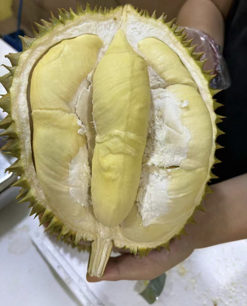 A果B果都有