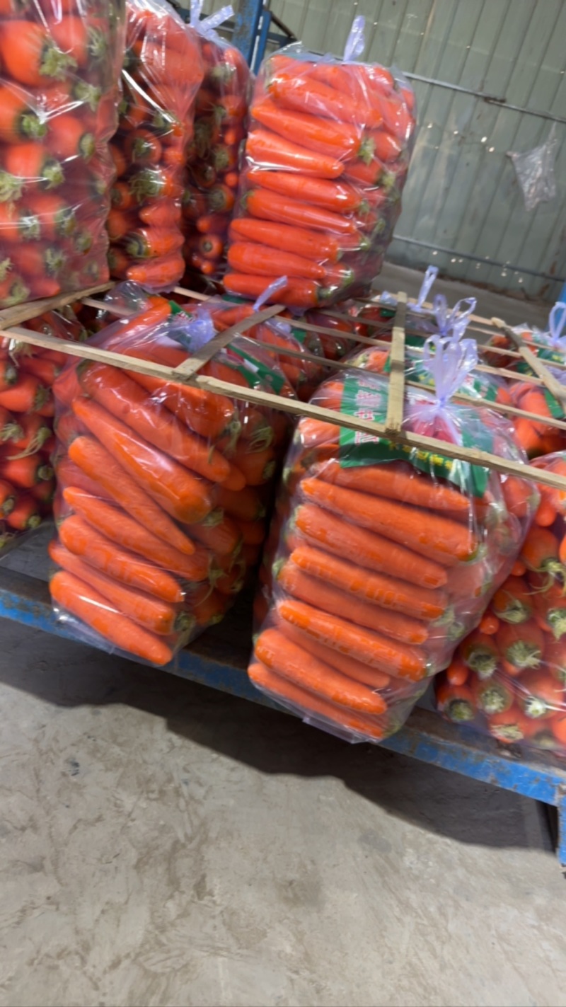 水洗精品红萝卜大量上市