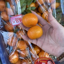 产地直供，货源充足，欢迎致电