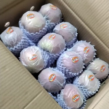 新疆阿克苏冰糖心富士高次