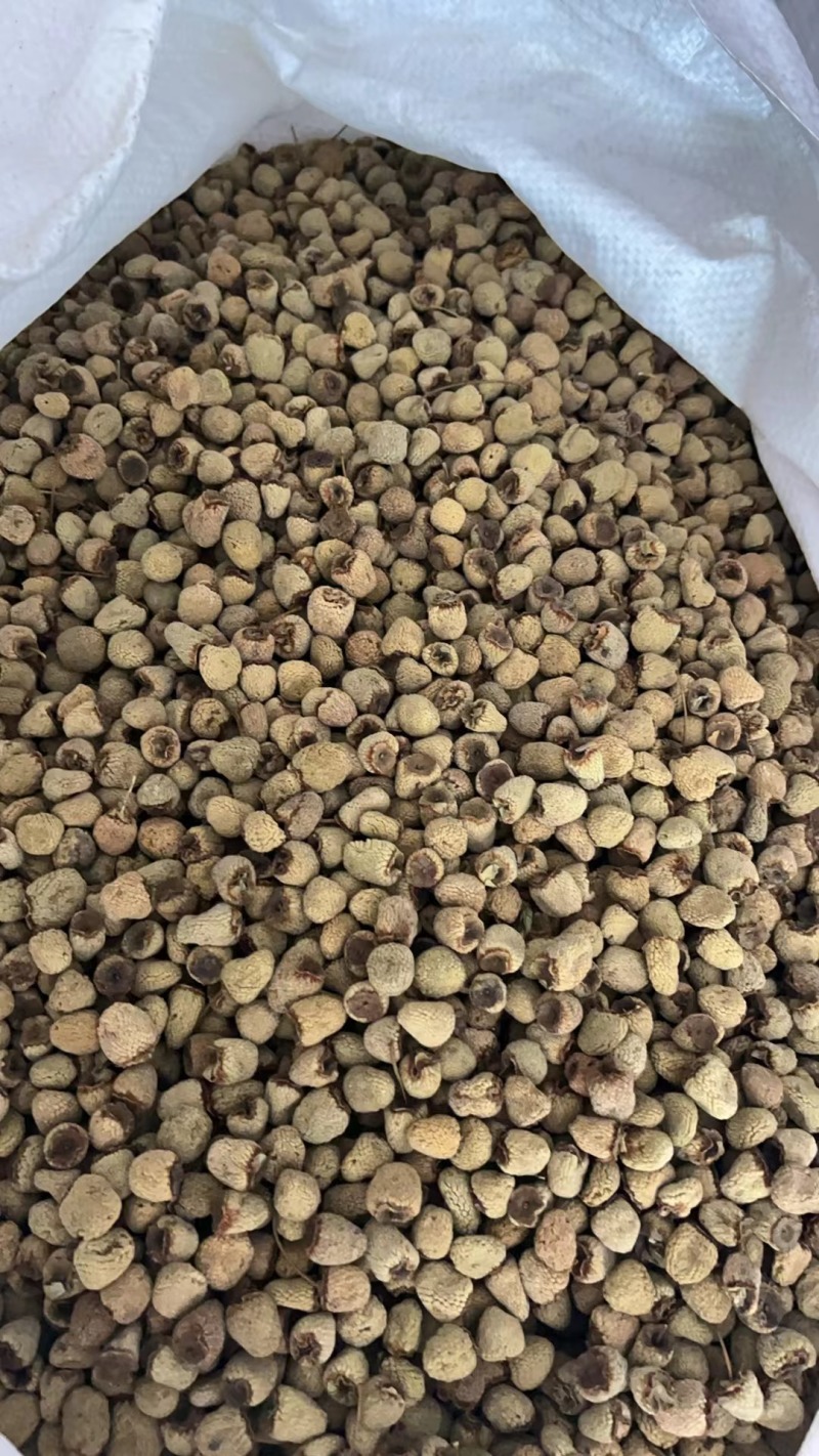 覆盆子大货统货选货齐全