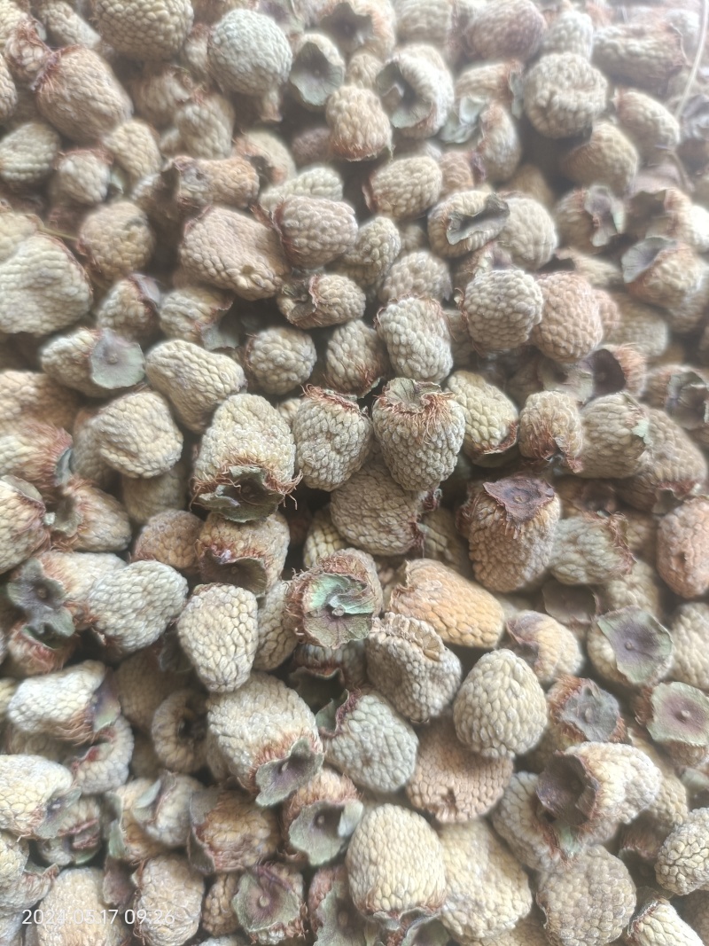 覆盆子大货统货选货齐全