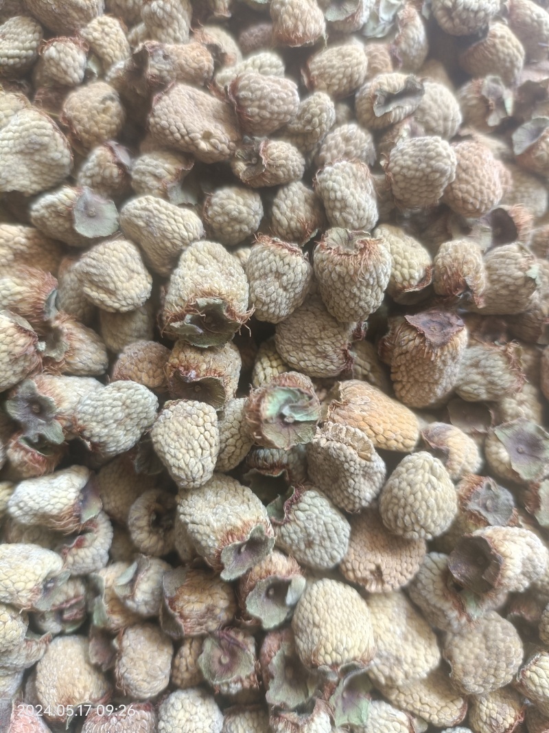 覆盆子大货统货选货齐全