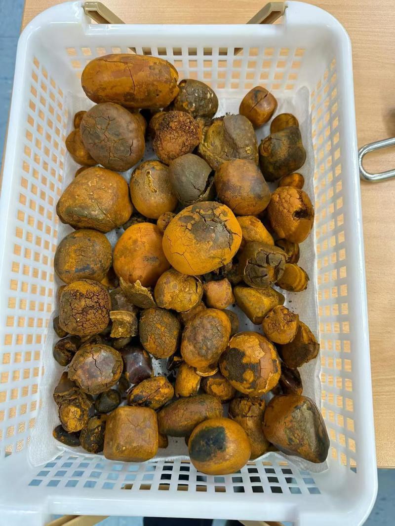 牛黄、天然牛黄，长期供货