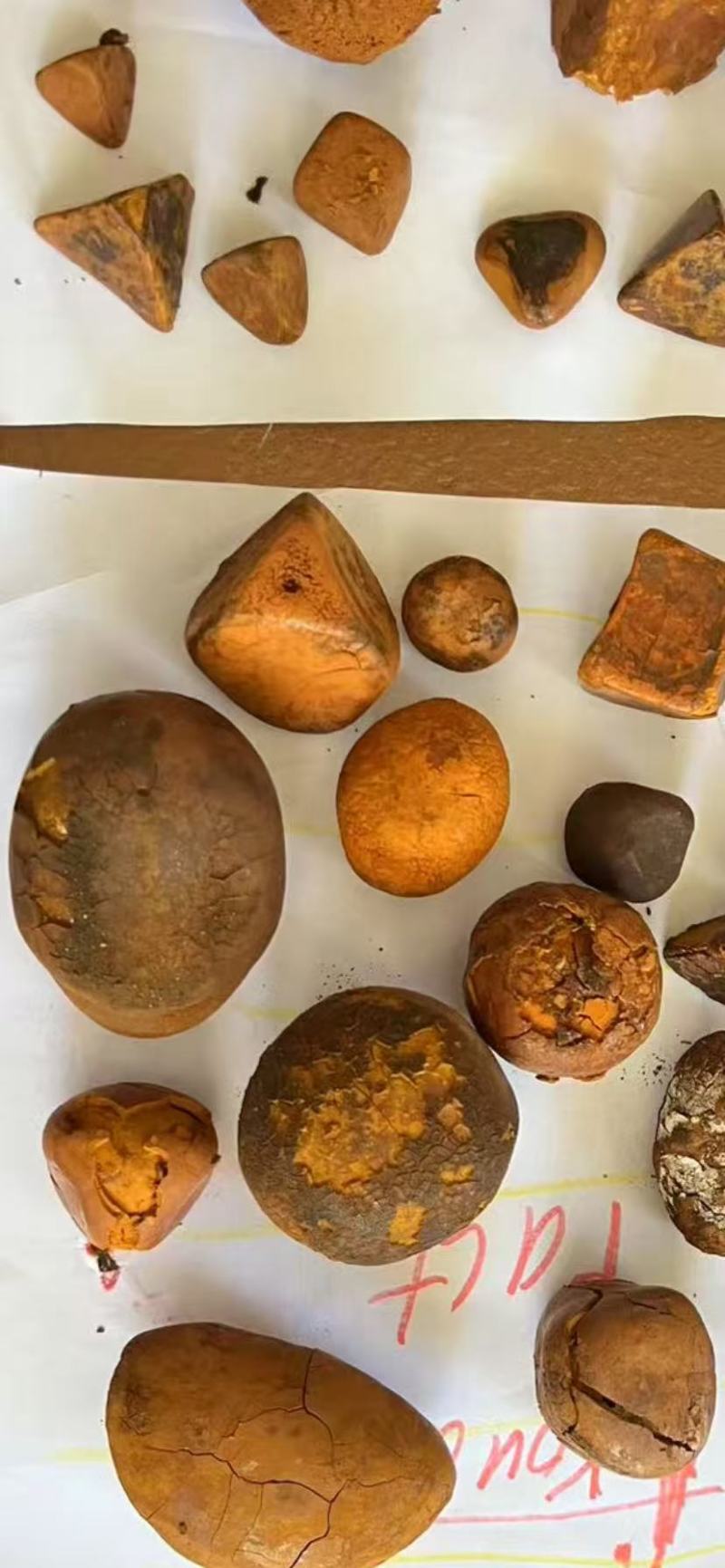 牛黄、天然牛黄，长期供货