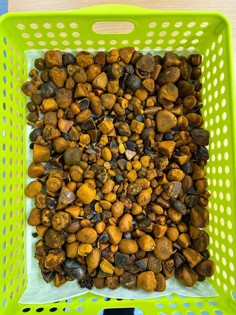 牛黄、天然牛黄，长期供货