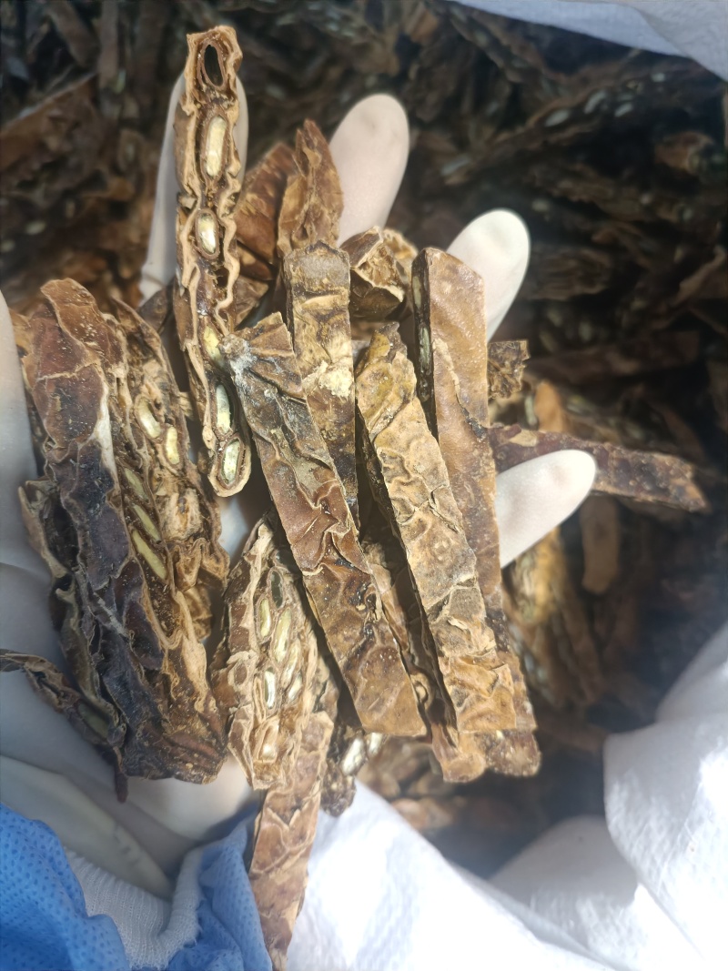 瓜蒌全瓜蒌中药材瓜蒌无硫实物拍摄品质保证