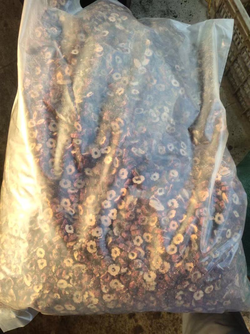 金丝枣圈大量供货产地直发品质保障量大优惠可实地看货拿货