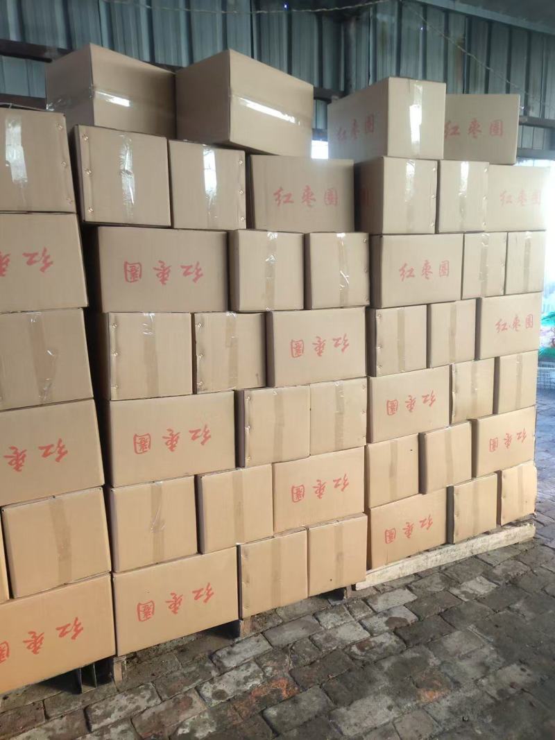 金丝枣圈大量供货产地直发品质保障量大优惠可实地看货拿货