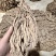 【甘肃岷县无硫水洗当归】产地直发保质保量假一赔十