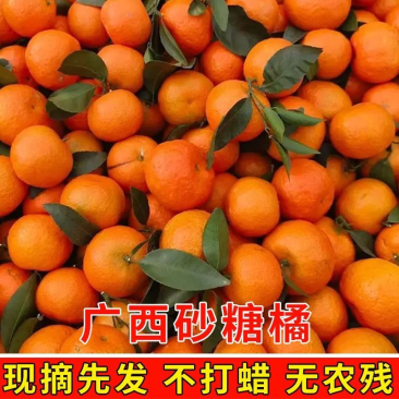 【电商】广西砂糖橘对接各大电商平台一件代发社区团购包售后