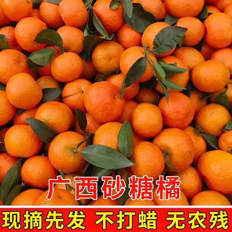 【电商】广西砂糖橘对接各大电商平台一件代发社区团购包售后