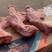 多肉猪颈骨