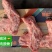 多肉猪颈骨
