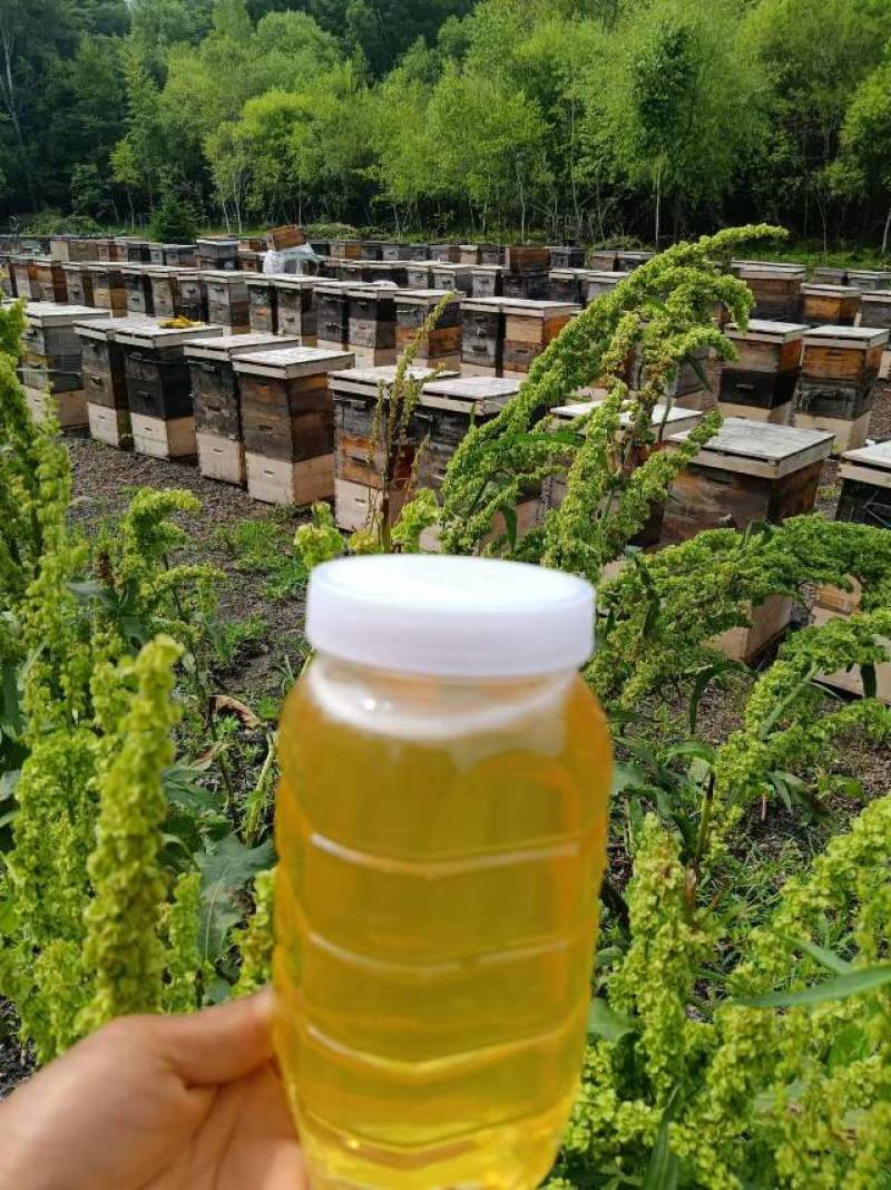***黑龙江蜂蜜，甘甜醇厚，滋养身心，健康生活的**，