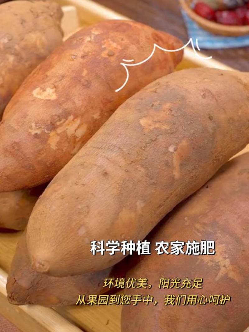 新鲜雪莲果，天然无污染，口感脆甜，营养丰富，健康美味