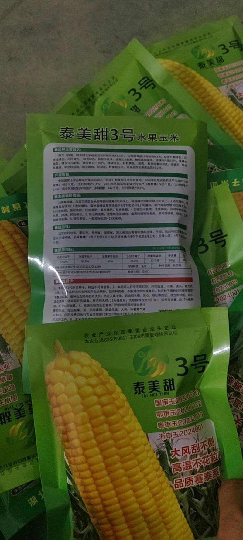 太阳花，泰糯玉米，种子，个头，高产，口感甜糯。