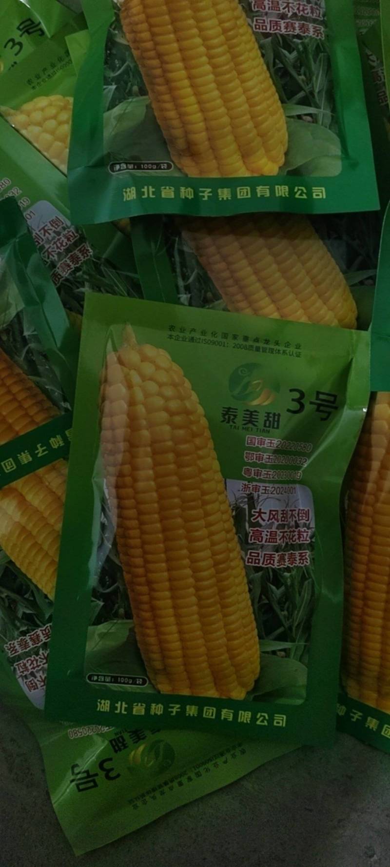太阳花，泰糯玉米，种子，个头，高产，口感甜糯。