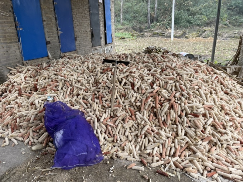 贵州烘干玉米芯颗粒品质保障量大从优长期供货