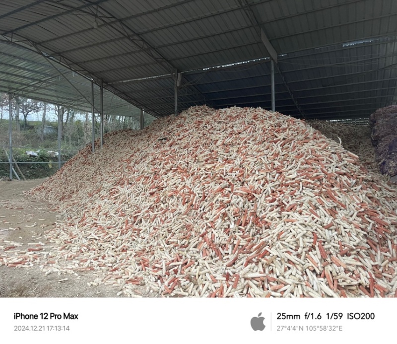 贵州烘干玉米芯颗粒品质保障量大从优长期供货