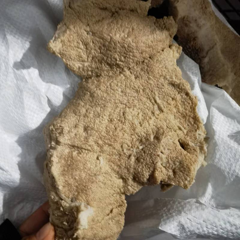 牛奶渣（奶盒子）一手货源全国发货常年供应可是看货