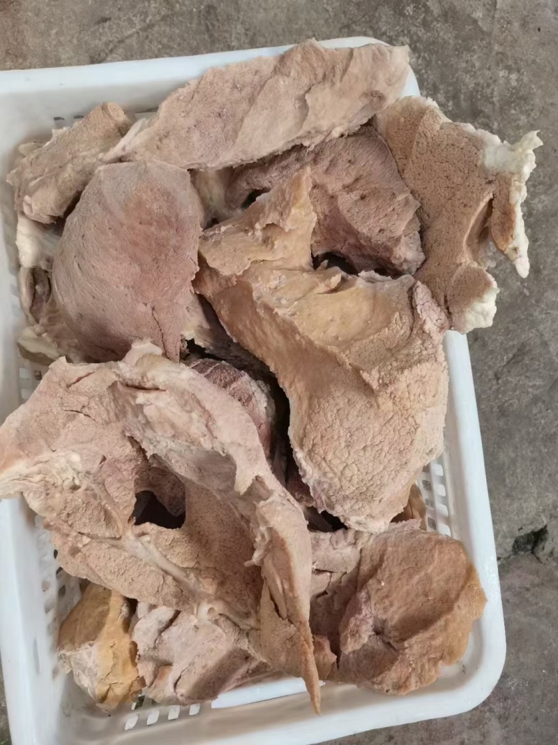牛奶渣（奶盒子）一手货源全国发货常年供应可是看货