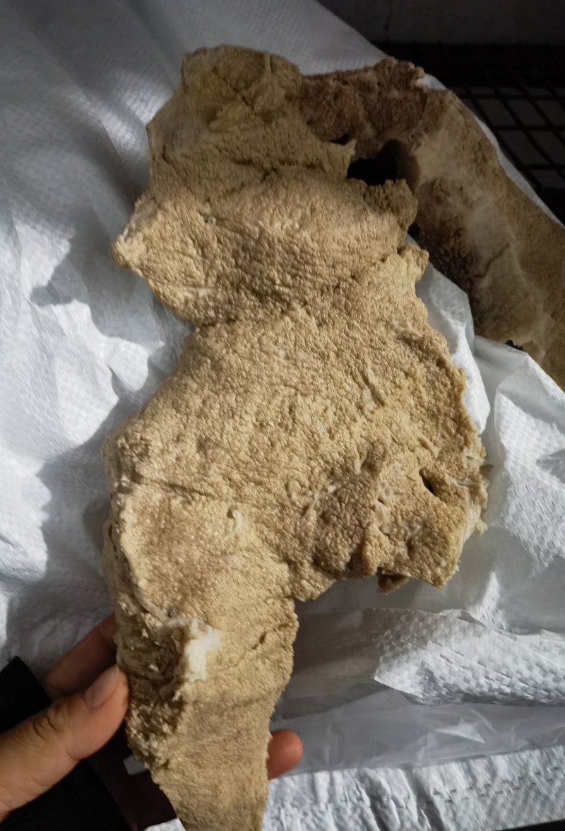 牛奶渣（奶盒子）一手货源全国发货常年供应可是看货