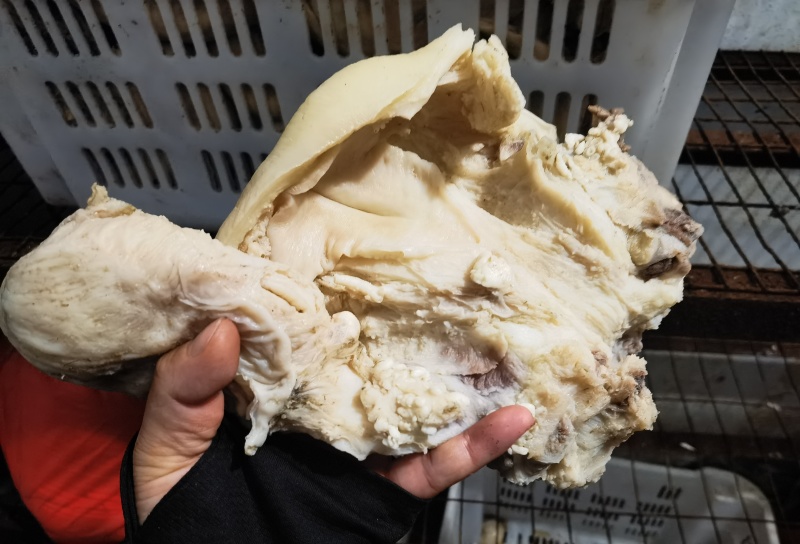 牛小货一手货源全国发货常年供应可是看货